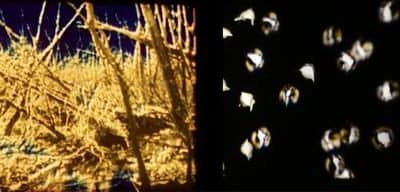 “CELLULOID & LIGHT” Expanded Cinema Performances